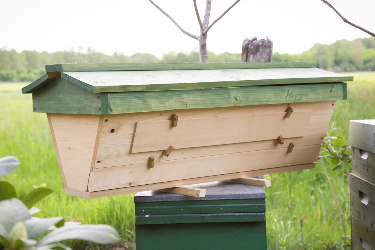 L'abeille africaine et la ruche kényane