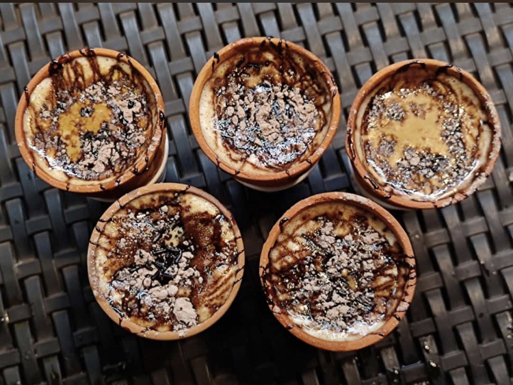 Le cacaoyer