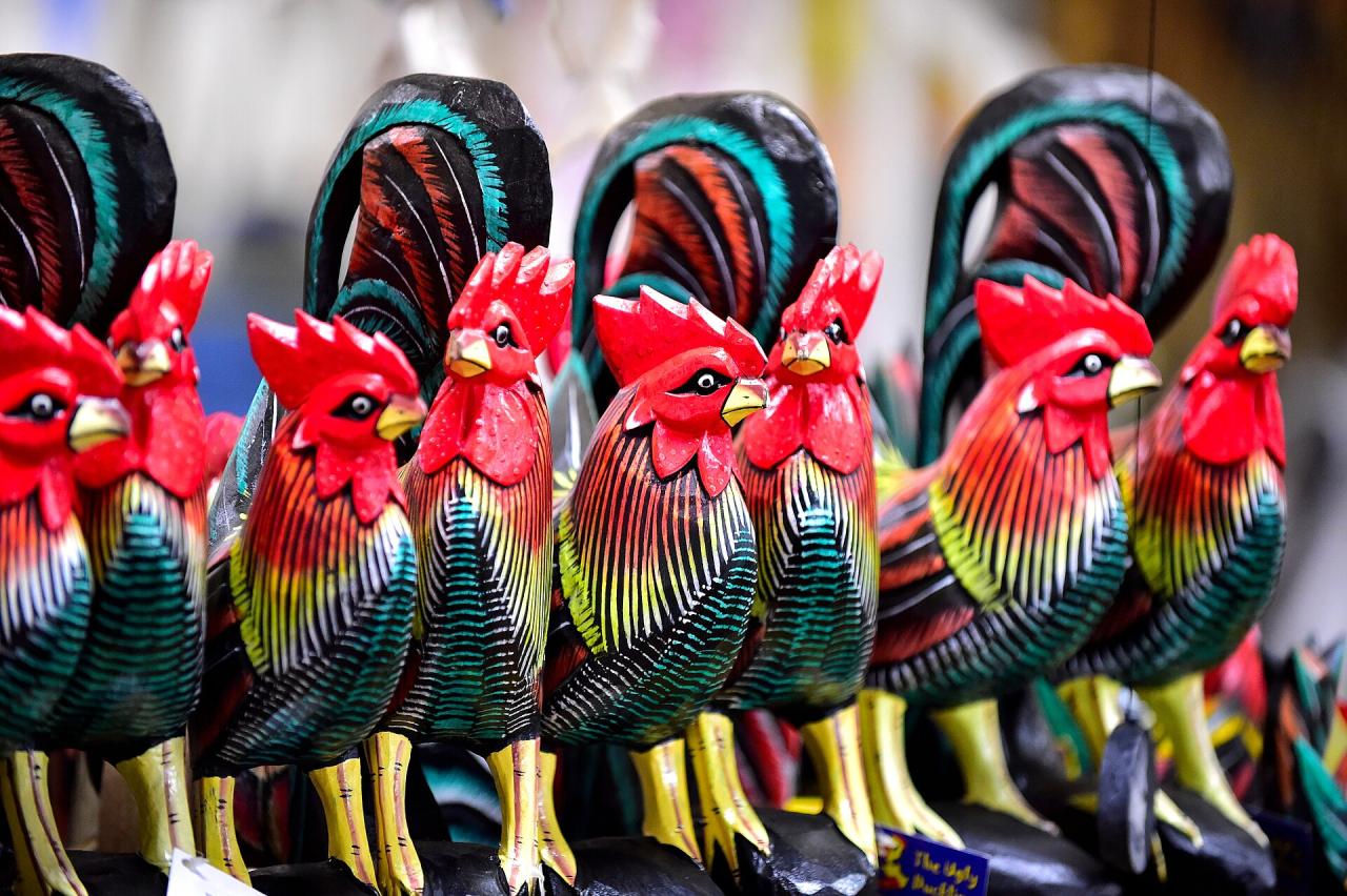 La poule locale